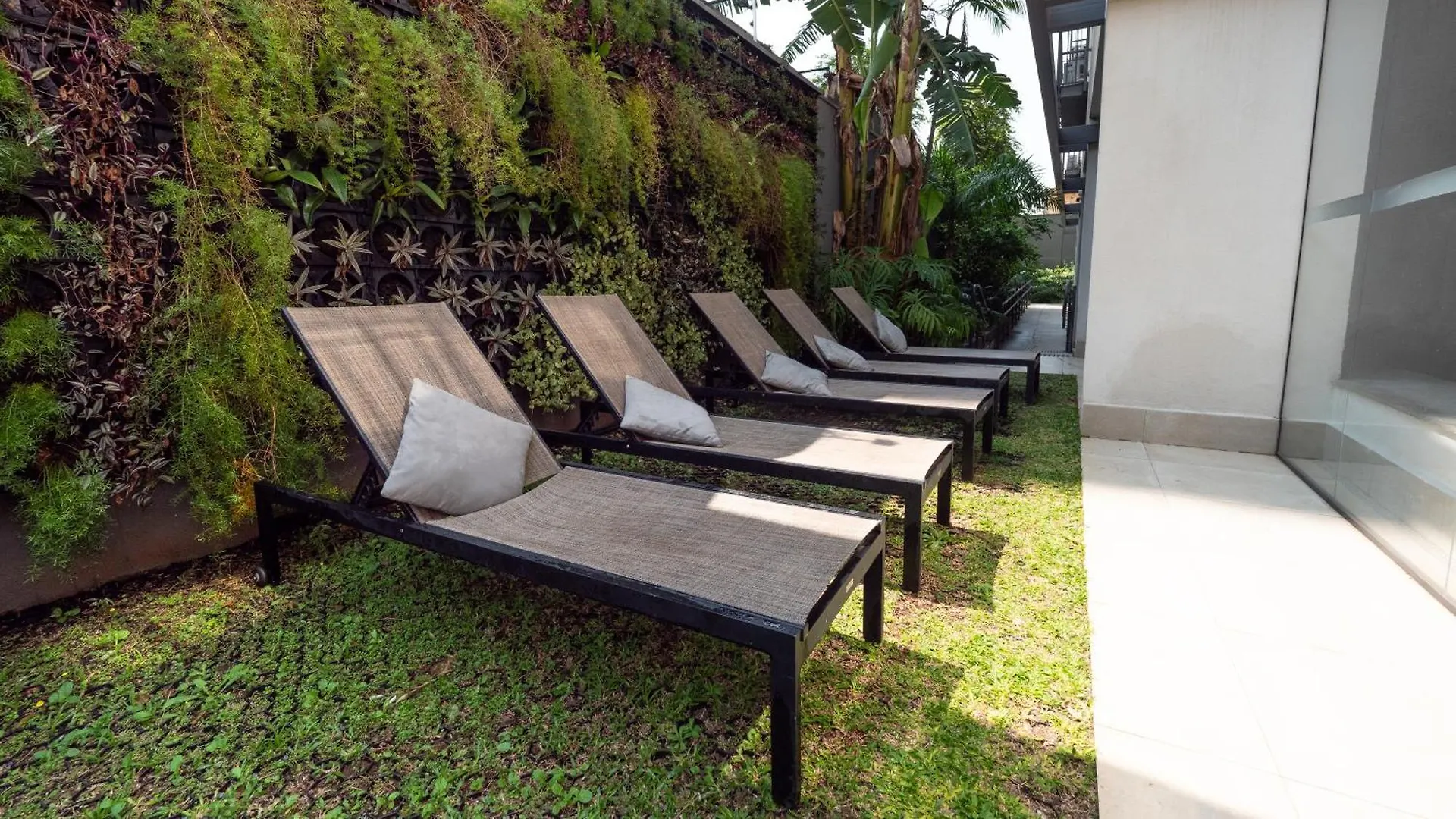 Apezinho Moema Apartamento São Paulo Brasil